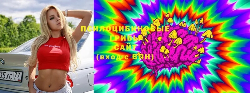 Псилоцибиновые грибы мухоморы  Заполярный 